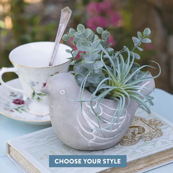 Farmhouse Bird Cement Planter, Choose Your Style